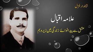 Allama Iqbal's Poetry in Urdu | Iqbal amazing Shyri