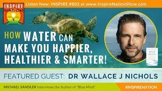 Why Water Is Good for You (And Can Change Your Life!) - The Importance of Water | Wallace J Nichols