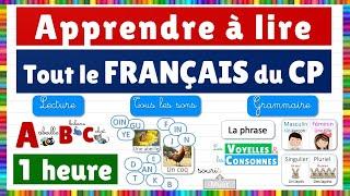 Learn french : all french first grade courses