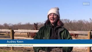 UD animal science major takes the reins on equine career goals