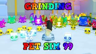 Grinding Pet Sim 99! (Roblox)