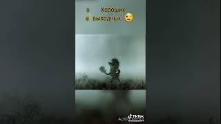 ёжик в тумане