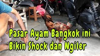 PASAR AYAM BANGKOK INI BIKIN SHOCK DAN NGILER