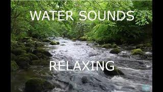 Nature Sounds Rain Sounds 8 Hour for Sleeping Sleep Aid for Everybody