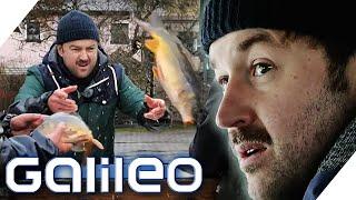 40 Tonnen Karpfen pro Jahr! 2 Tage in der Karpfenzucht | Galileo | ProSieben