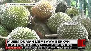 Musim Durian Membawa Berkah | REDAKSI PAGI (07/08/22)