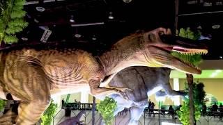 Petting Dinosaurs ! Dino Adventure Jurassic Quest Vlog Video