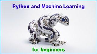 Python for Complete Beginners: 0314 Python Arguments and Parameters Summary