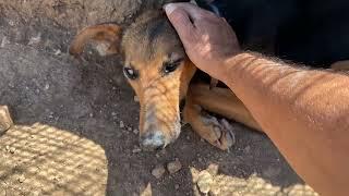 I Left Karen Alone for 2h and Came Back to Check on Her! - Takis Shelter