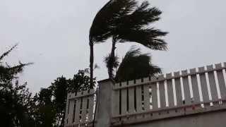 Cyclone Bejisa, La Réunion (Salazie)