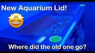 Red Sea Reefer G2 Reef Tank Build | New Aquarium Mesh Lid by Kraken Reef