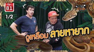 Retixculated Python งูเหลือมลายหายาก - เพื่อนรักสัตว์เอ้ย EP.81 [1/2]