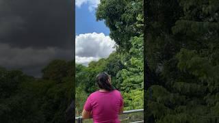 Saturday morning  #lifestyle #girl #vlog #morningroutine #morning #life #gym #nature #routine