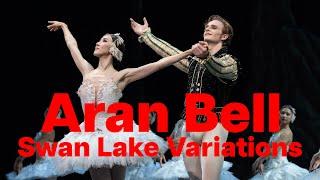 Aran Bell Swan Lake Siegfried Variations