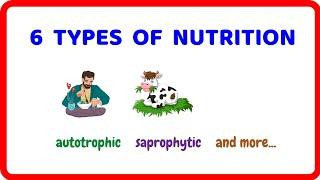 6 Types of Nutrition | Autotrophic, Holozoic, Saprophytic