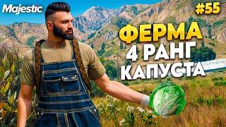 ФЕРМЕР 4 РАНГА,  ХОРОШИЙ ФАРМ НА КАПУСТЕ. ПОСАДИЛИ В ТЮРЬМУ НА MAJESTIC RP / GTA 5 RP.  ПРОМО - TAXI