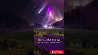 "따뜻한 위로, 오늘도 괜찮아요"