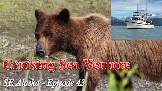 Cruising Alaska's glaciers + Q&A aboard our trawler, Sea Venture - EP 39