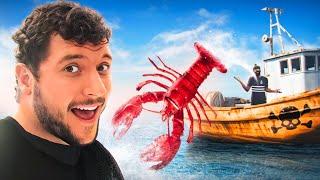 J’achète un homard pour partir le libérer en pleine mer !