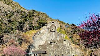 Nokogiriyama - one of the biggest buddha statue in Japan (founded 3500 yrs ago) #japanlife #japan