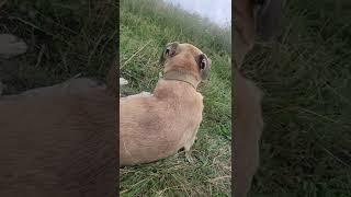 https://youtu.be/v3Q3W3EStnY