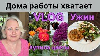 VLOGДождливая погода/Духовка сама очищается/Выбираю цветы в магазине/Быстрый ужин