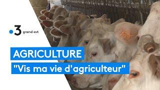 Agriculture : trois jeunes font le tour du Grand Est des agriculteurs