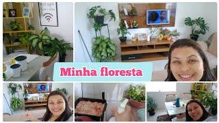 TRANSFORMANDO MINHA CASA EM UMA URBAN JUNGLE/ALOCASIA DENTRO DE CASA/ ALMOÇO E DICAS DE CUIDAR DAS 🪴