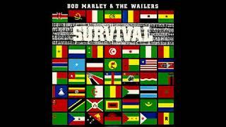 Bob marley Survival