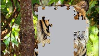 Strong tiger  | jigsaw puzzle game | #satisfying #animals #nature #shorts