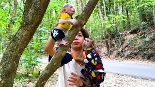 Monkey Kaka and Mit feel happy when walking in the mountains with mom