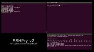 SSHPry v2 - Spy & Control SSH Connected client's TTY