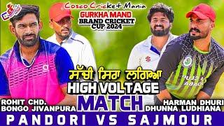 Pandori(Rohit Chd & Bongo) Vs Sajmour(Harman Dhuri & Dhunna) Cosco Cricket Mania