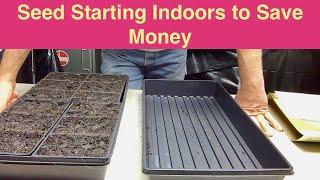 Seed Starting Indoors to Save Money