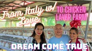 OFW business / chicken layer farm / Delivery update