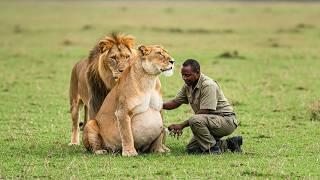 Man risked his life to help a lioness give birth, a few minutes later something shocking happened