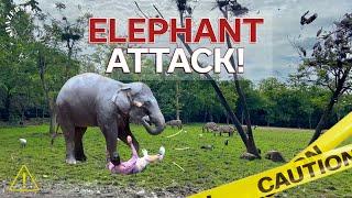 Shocking! Elephant attack on a Youtuber | Thailand Safari World | StoryTime | ShazebSMS |