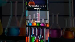 Daily Trivia Quiz | How Smart Are You? General Knowledge Questions #quizchallenge #quizgames #quiz