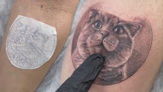 Realistic Cat Portrait Tattoo Timelapse