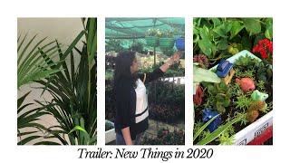New in 2020 on my Channel | Home, Plants & more | Ekta