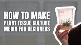 How to Make Plant Tissue Culture Media for Beginners: Step-by-Step Tutorial