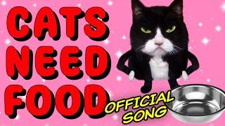 Cats Need Food [Official] Kittycat Song 2