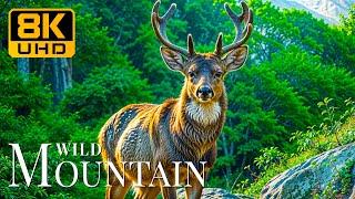 Wild Mountain Peaks 8K UHD  Majestic Views with Serene Piano