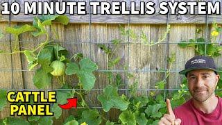 This Easy CATTLE PANEL TRELLIS Will Make Your Neighbors Jealous!