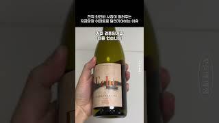 전직 와인바 사장이 알려주는 지금 사야하는 이마트 와인
