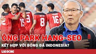 Ông Park Hang-seo trở thành HLV đội tuyển bóng đá quốc gia Indonesia?  | BLĐ