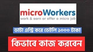 Micro Workers কিভাবে কাজ করবেন | How to complete data entry Jobs is Micro workers