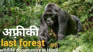 The Last forest - हिंदी डॉक्यूमेंट्री ! Africa wildlife documentry in Hindi