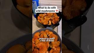 Cooking up Saffron Milk Cap Mushrooms 