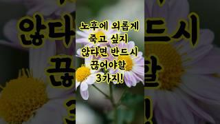 노후에 외롭게 죽지 않으려면 지금 꼭 끊어야 할 3가지  #인생노트 #명언 #건강한노년